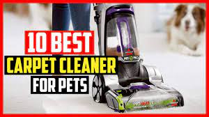 best carpet cleaner for pets in 2023