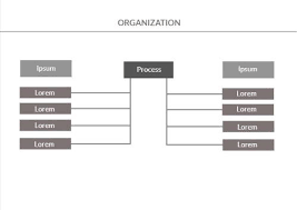 Use This Organizational Chart Maker To Create An Effective