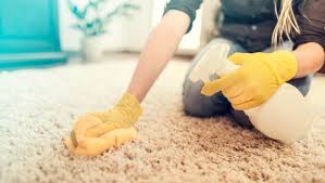 insider report diy carpet care tips