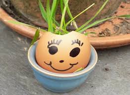 Outdoor Lessons Eggy Cress Heads
