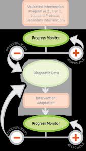Progress Monitor National Center On Intensive Intervention