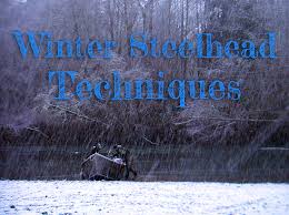 We have for you 5 sources for whaching! 8 Amazing Techniques To Catch Winter Steelhead Riptidefish