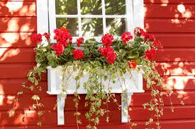 Continue to 9 of 9 below. How To Build A Pvc Window Box This Old House