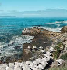 the ultimate garden route road trip