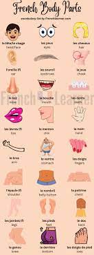 french body parts voary list with