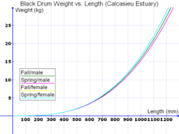 Black Drum Wikipedia