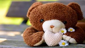 happy teddy day 2024 top 50 wishes