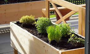 Herb Gardening Guide For Beginners