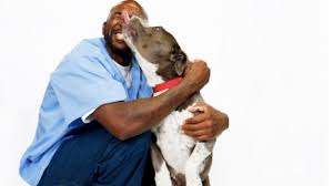 Lancaster puppies | looking for a puppy? La Animal Services Prison Dog Training Program Flyer Features Black Man With Pit Bull