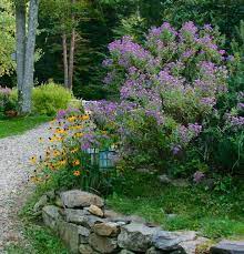 5 Ways To Keep Your Native Plant Garden
