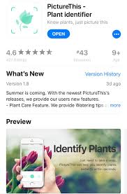 Meanwhile, iphone owners get google lens bundled as part of the google photos app. 4 Best Apps To Help Identify Plants And Trees
