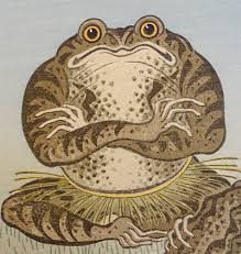 Image result for toad folklore and legend