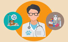 how to become a veterinary doctor