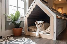 Build And Paint An Indoor Dog House
