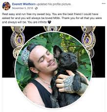 French bulldog puppies and dogs for sale, local or nationwide. Driver Accused Of Running Over Dog On Se Portland Street Despite Owner S Pleas Oregonlive Com