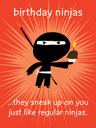 Image result for ninja puns