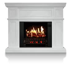 ᑕ❶ᑐ Electric Fireplaces For Heat