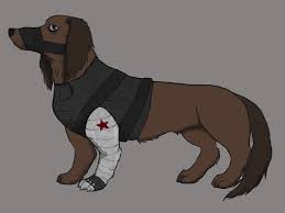 Cuz like, he was always like, winter soldier and then it was like, wiener soldier.. The Wiener Soldier By Bozers On Deviantart