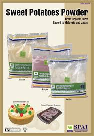 The starch granules absorb so much water, they explode into a mess. Sweet Potatoes Powder Products Indonesia Sweet Potatoes Powder Supplier