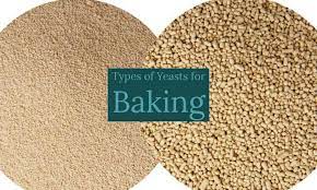 Kinds Of Yeast For Baking gambar png