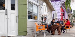 dog friendly restaurants in new orleans