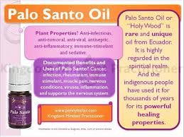Synergistic blends of essential oils all at 10ml size unless listed otherwise. Pin On Interessante 2