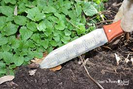 How To Use A Hori Hori Gardening Knife