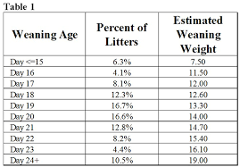 How Much Weaning Age Variation Does Your Farm Have