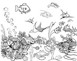 Download 3,499 aquarium coloring stock illustrations, vectors & clipart for free or amazingly low rates! Fish Aquarium Coloring Pages Tropical Fish Tank Coloring Page Netart 600x480 Jpeg Fish Coloring Page Tropical Fish Tropical Fish Tanks