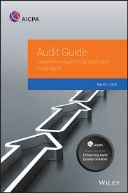 Government Auditing Standards And Single Audits 2019 Ebook By Aicpa Rakuten Kobo