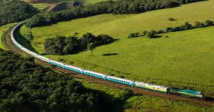 Passeio de trem de Vitória a Minas oferece paisagens deslumbrantes da  janela do vagão