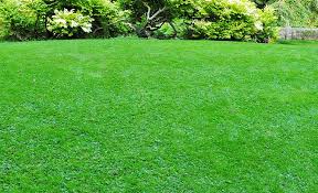 Aerating your lawn will relieve soil compaction and enhance grass growth. How To Aerate Your Lawn The Home Depot
