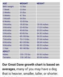 57 Extraordinary Bullmastiff Diet Chart