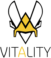N'hésitez pas à nous fair. Team Vitality Wikipedia