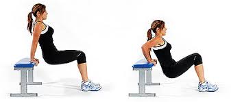 Image result for tricep dips