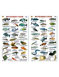 Mediterranean Fish Chart German