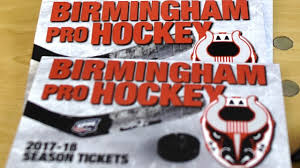 Birmingham Bulls Hockey Will Drop The Puck In Pelham This