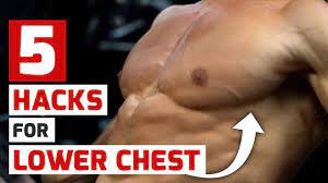hacks will build your lower chest