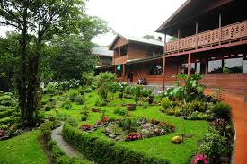 Hummingbird Garden Monteverde Costa Rica
