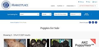 Preparing your puppies to sell. How To Sell Puppies Online 25 Tips Tricks Doggie Designer
