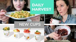 REVIEW of DAILY HARVEST NEW CUPS / 2019 ...