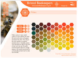 6 Bee Honey Color Chart Bee Honey Color Chart
