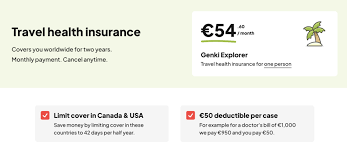Travel Insurance For Two Years gambar png
