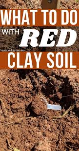 gardening in red clay soil it s not