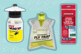 the 7 best fly traps of 2023