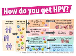 get the correct facts about hpv
