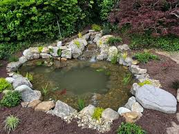 Ten Amazing Pond Ideas You Can Try Out