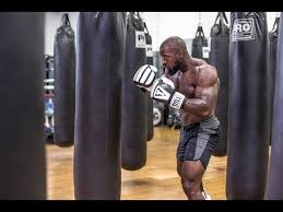 do these heavy bag drills excellent