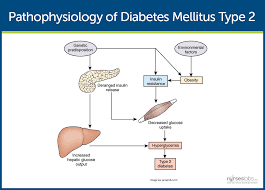 Case Study Diabetes Mellitus Type   Scribd   How To Address A     