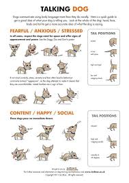 Extraordinary Dog Tail Chart Dog Tail Language Chart Dog